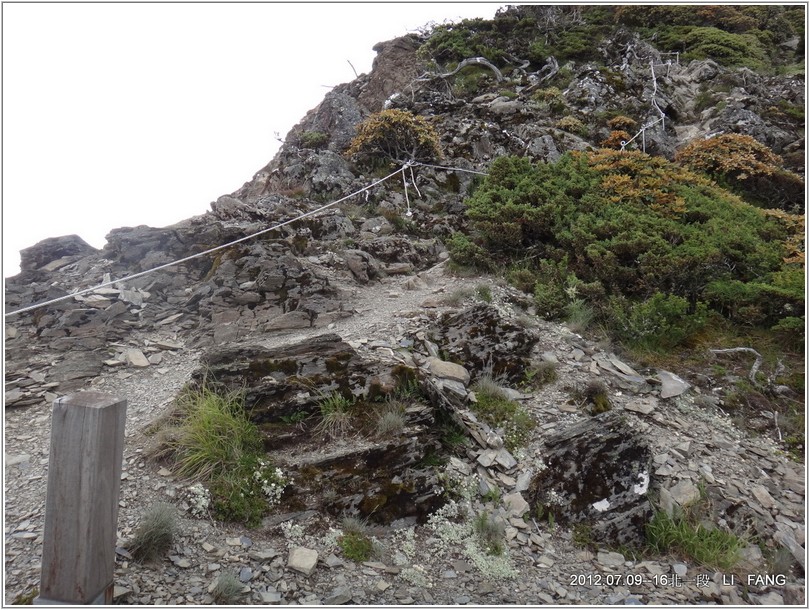 2012-07-11 13-31-43挺進五岩峰.JPG